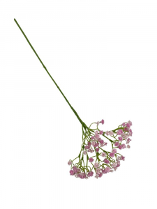 Gipsówka 50 cm jasno różowa z różem