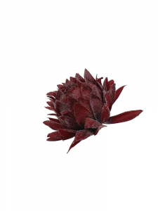 Karczoch kwiat wyrobowy omszony 7 cm głęboka czerwień