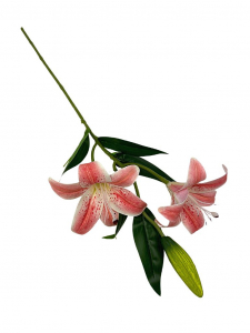 Lilia silikonowa gałązka 65 cm różowa
