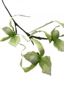 Orchidea kwiat pojedynczy 76 cm jasno zielona