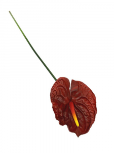 Anturium kwiat pojedynczy silikonowy 69 cm czerwone