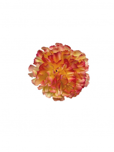 Goździk główka 8 cm żółto różowy