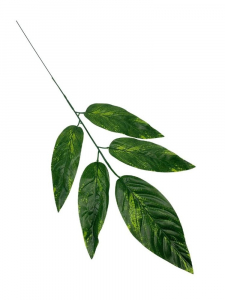 Liść mango 58 cm jasno zielony