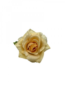 Róża główka 6 cm jasna brzoskwinia