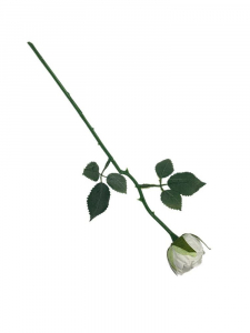 Róża gałązka 35 cm biała