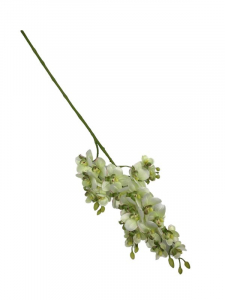 Storczyk gałązka 73 cm jasno zielony