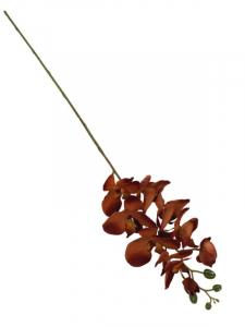 Storczyk kwiat pojedynczy 100 cm brązowy