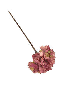 Hortensja kwiat pojedynczy 50 cm różowa