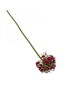 Kalina gałązka 41 cm ciemny róż