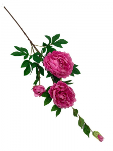 Piwonia gałązka 114 cm głęboki róż