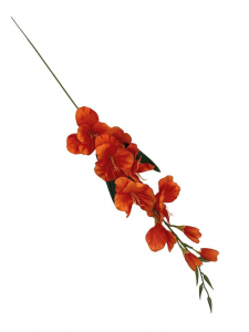 Mieczyk kwiat pojedynczy 80 cm pomarańczowy
