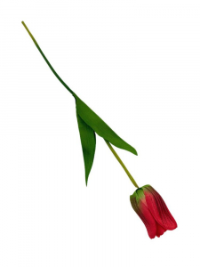 Tulipan 61 cm czerwony