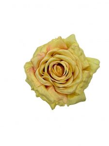 Róża duża główka 15 cm żółta