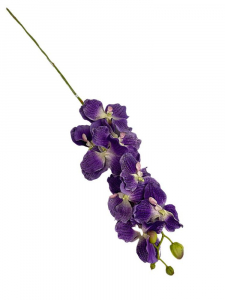 Storczyk Vanda gałązka 98 cm fioletowy