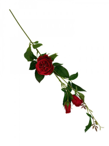 Róża gałązka 70 cm czerwona rubinowa
