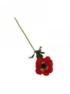 Anemon kwiat pojedynczy 36 cm czerwony