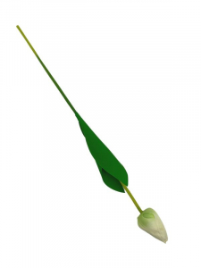 Tulipan kwiat pojedynczy 54 cm kremowo zielony