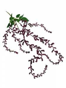 Owoce wisterii 83 cm purpurowe