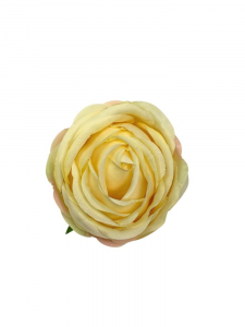 Róża główka 8 cm waniliowa