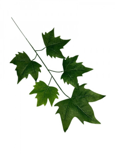 Klon liście gałązka 54 cm zielony