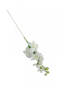 Ostróżka kwiat pojedynczy 44 cm biała