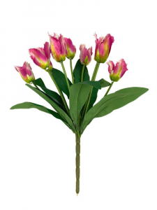 Tulipany strzępiaste bukiet 42 cm fuksja