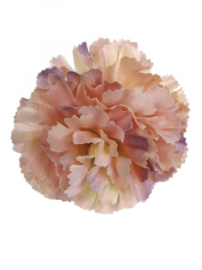Goździk główka 8 cm brudny róż z jasno fioletowym