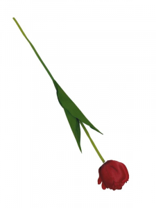 Tulipan gałązka 58 cm czerwony