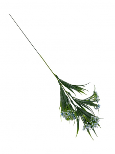Dodatek Chlorofitum gałązka 44 cm jasno niebieski