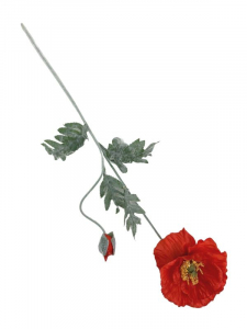 Mak kwiat pojedynczy 73 cm czerwony