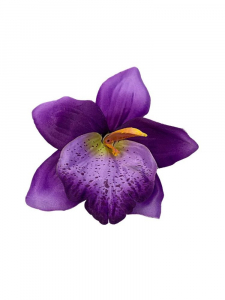 Storczyk główka 14 cm fioletowy