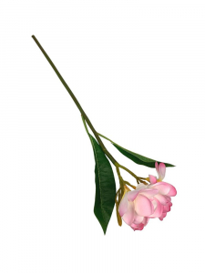 Plumeria gałązka 56 cm różowa