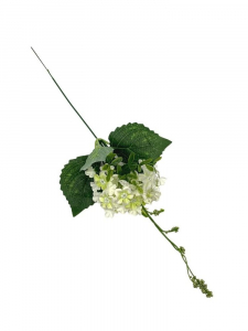 Kalina pik 44 cm biało zielona