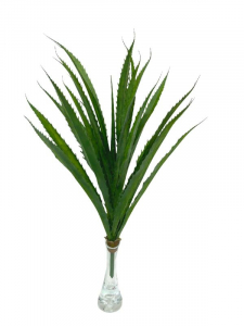 Agawa sukulent 51 cm zielony