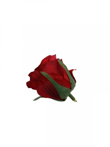 Róża główka 6 cm czerwony