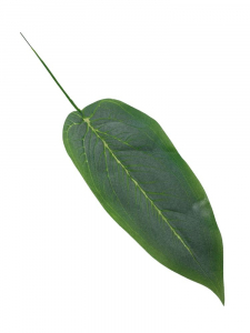 Liść omszony 44 cm zielony