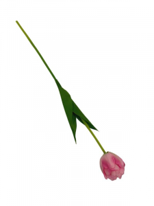 Tulipan kwiat pojedynczy 58 cm różowy