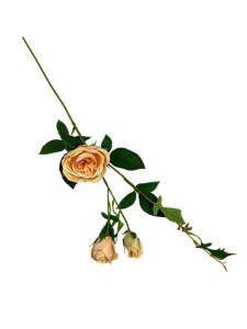 Róża gałązka 70 cm morelowa