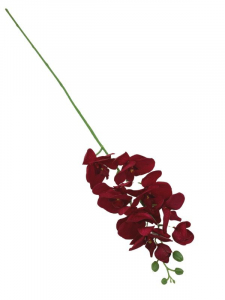 Storczyk kwiat pojedynczy 100 cm głęboka czerwień