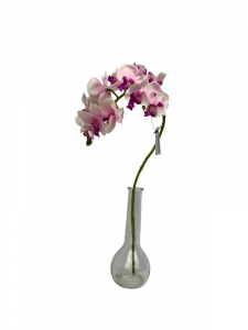 Storczyk kwiat pojedynczy 56 cm kremowo fioletowy