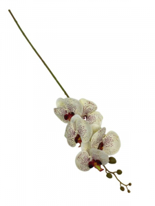 Storczyk kwiat pojedynczy 84 cm kremowy z fioletowym nakropieniem