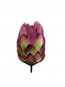 Protea główka wysokość 10 cm róż wpadający w fiolet