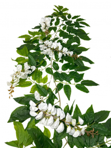 Girlanda kwiatowa biała akacja 200 cm