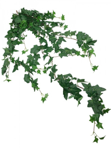Bluszcz hedera wiszący bukiet 132 cm zielony