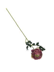 Pełnik kwiat pojedynczy 54 cm fiołkowy z zielonym środkiem