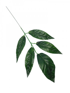 Liść mango 57 cm zielony