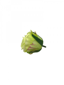 Róża wyrobowa główka 6 cm zielona