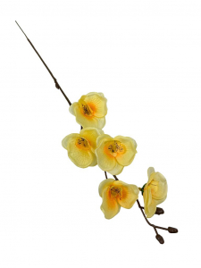 Storczyk mini gałązka 41 cm żółty
