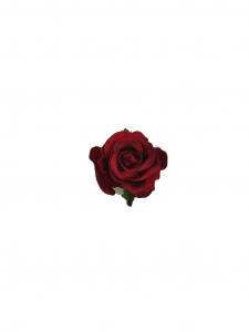 Róża główka 5 cm czerwona