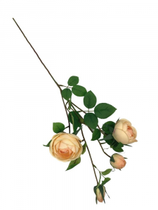 Róża na gałązce 70 cm beżowa